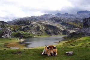 Picos-de-europa-Lagos-de-Covadonga