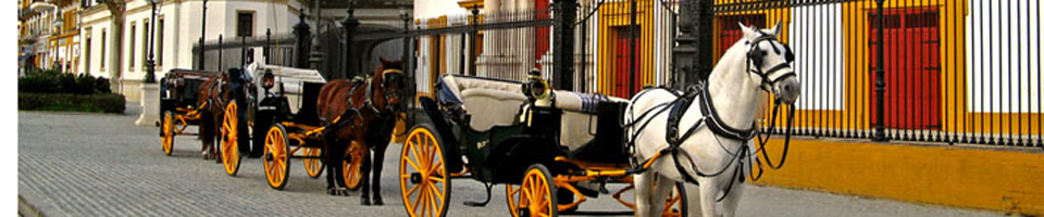sevilla viajes de incentivos