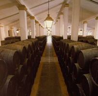 bodega jerez