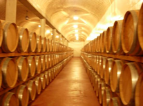 Castile La Mancha winery visit