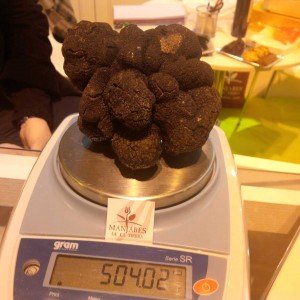 black-truffle-Spain