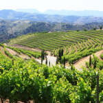 Priorat_wine_Region