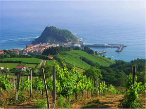 vineyards_txacoli