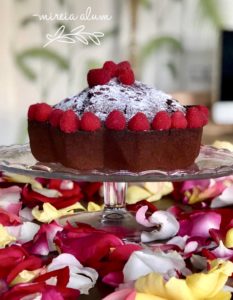 Black cocoa and coffee sponge cake