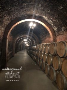 subterranean cellar at Ribera del duero on wine day tour