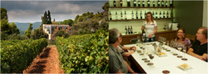 visit to vineyards and wine tasting at Girona