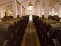 bodega jerez